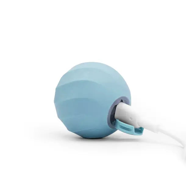 كرة الهروب الصغيرة من FRANTIC ORB للكلاب والقطط