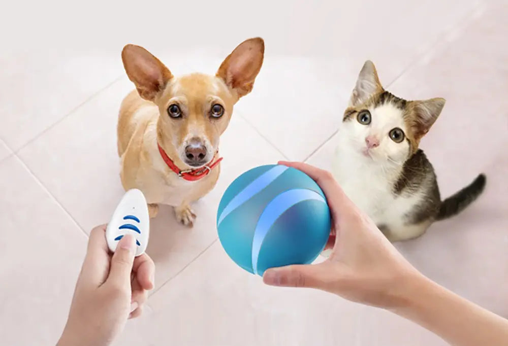 كرة تفاعلية للكلاب أو القطط INTERACTIVE ORB MT7108