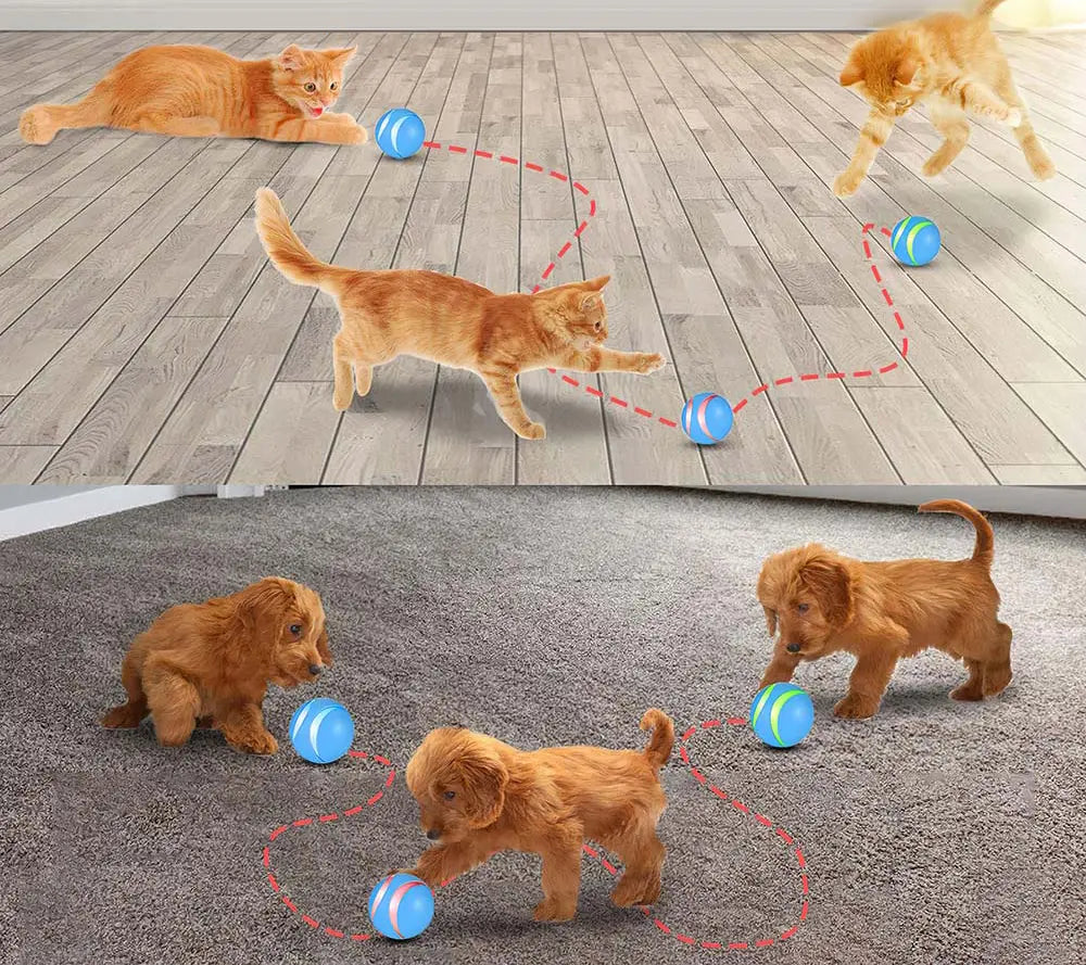 كرة تفاعلية للكلاب أو القطط INTERACTIVE ORB MT7108