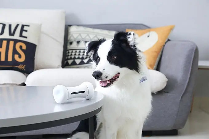 لعبة تفاعلية للكلاب SMART BONE MT7109