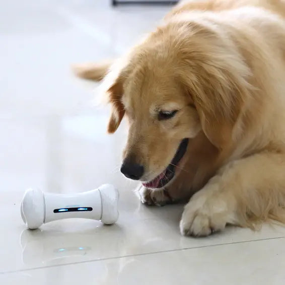 لعبة تفاعلية للكلاب SMART BONE MT7109