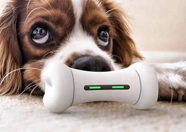 لعبة تفاعلية للكلاب SMART BONE MT7109