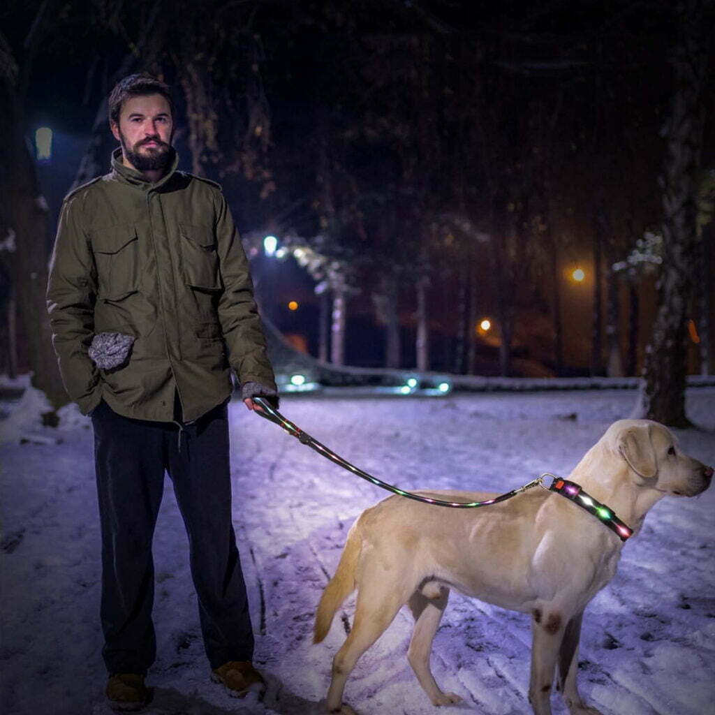 LED Light Up Dog Leash - SIGNAL LEASH