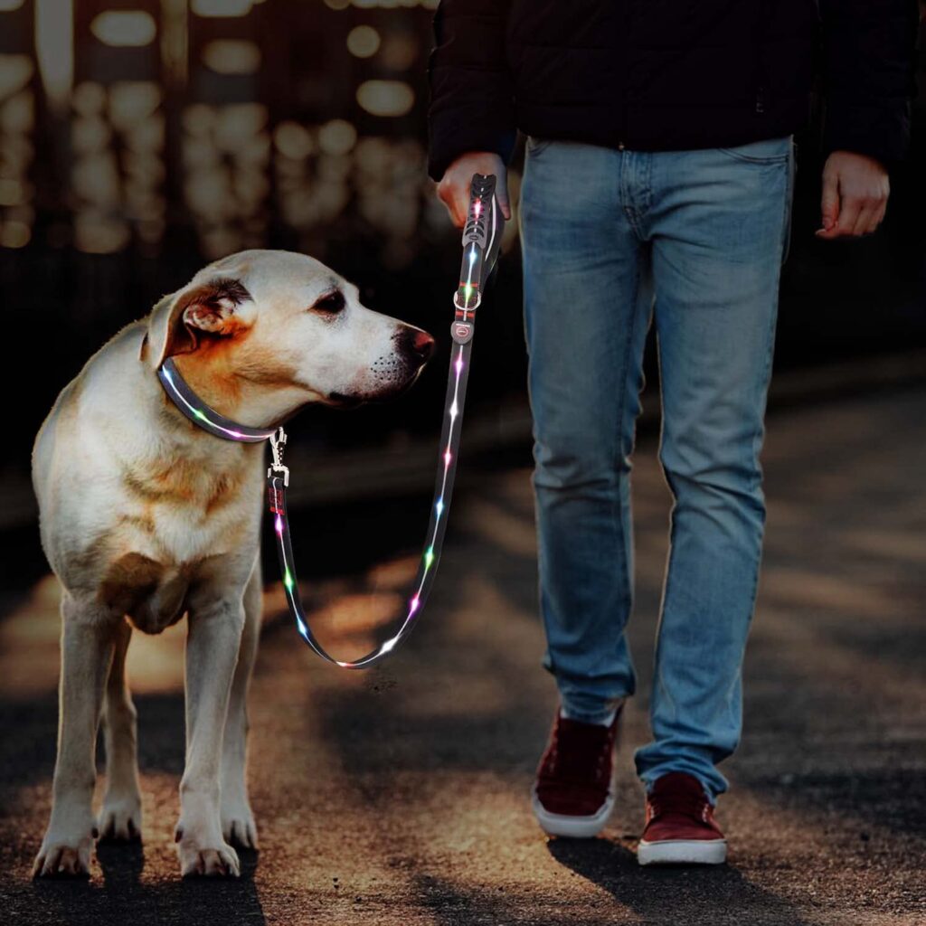 LED Light Up Dog Leash - SIGNAL LEASH