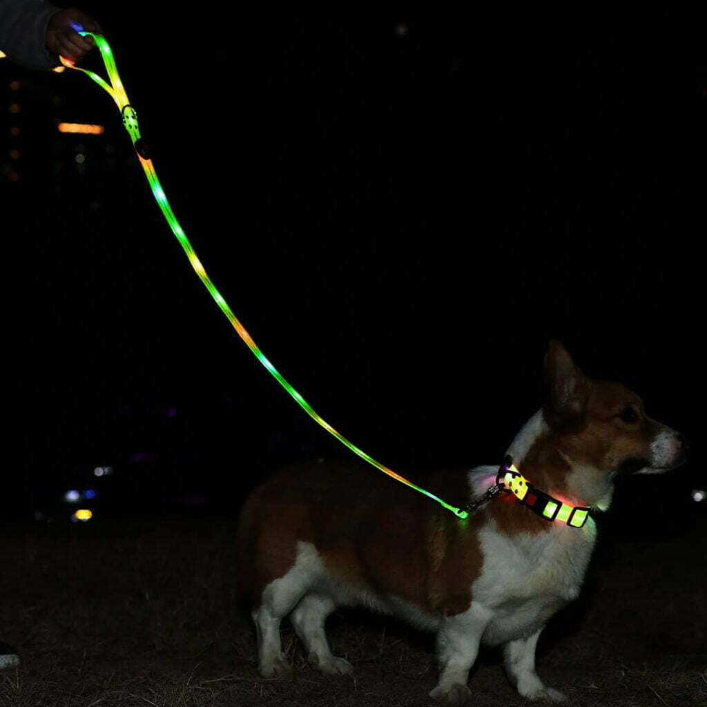LED Light Up Dog Leash - SIGNAL LEASH