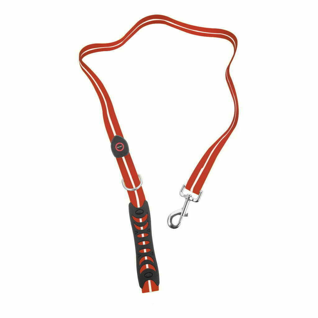 LED Light Up Dog Leash - SIGNAL LEASH