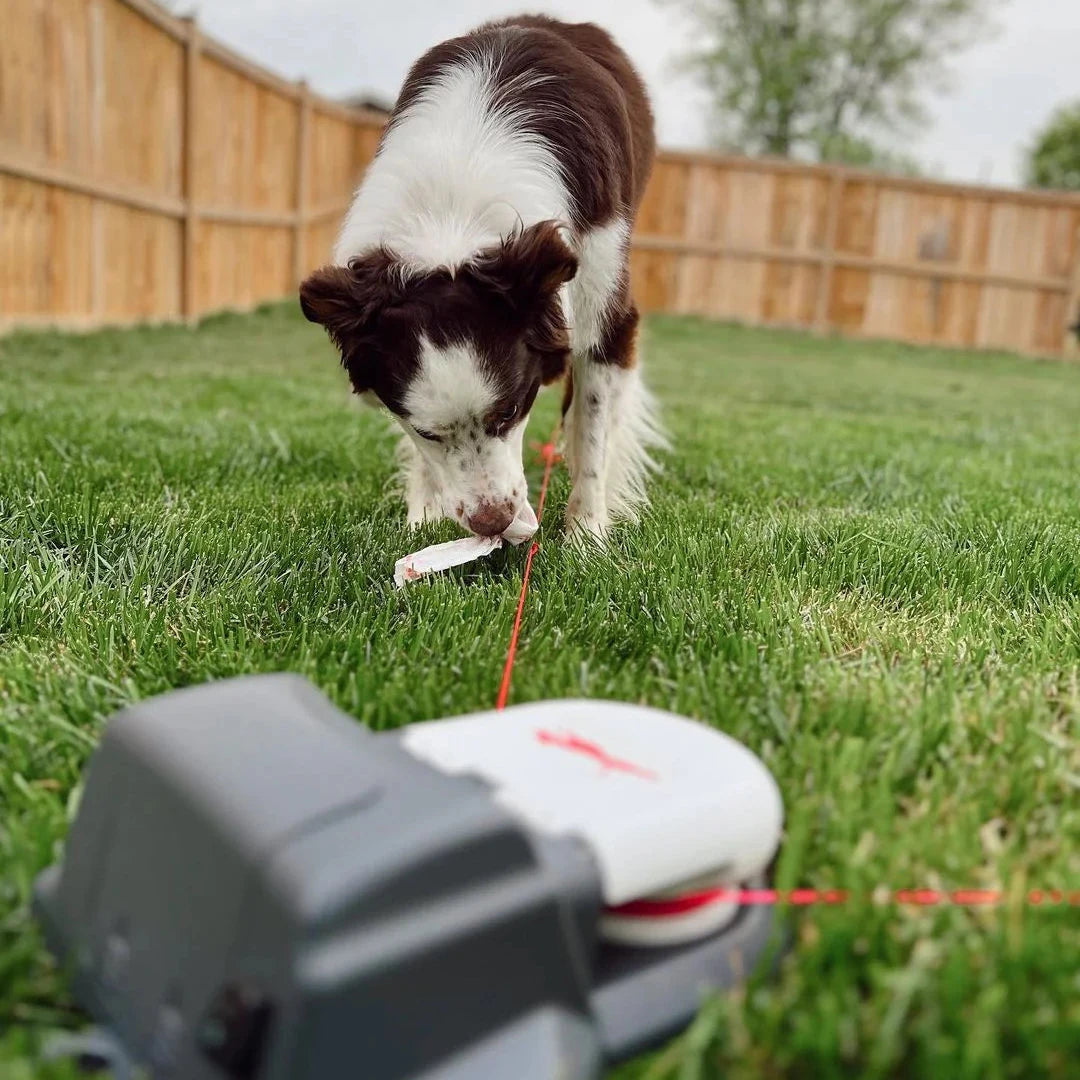 Lure Coursing maschine