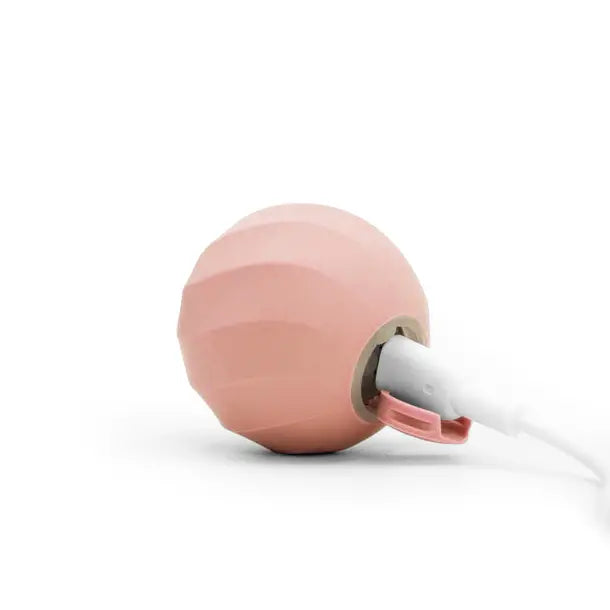 كرة الهروب الصغيرة من FRANTIC ORB للكلاب والقطط