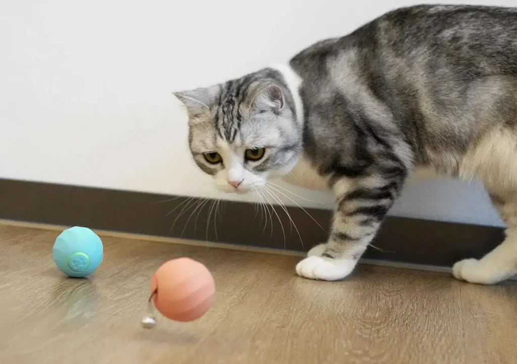 كرة الهروب الصغيرة من FRANTIC ORB للكلاب والقطط