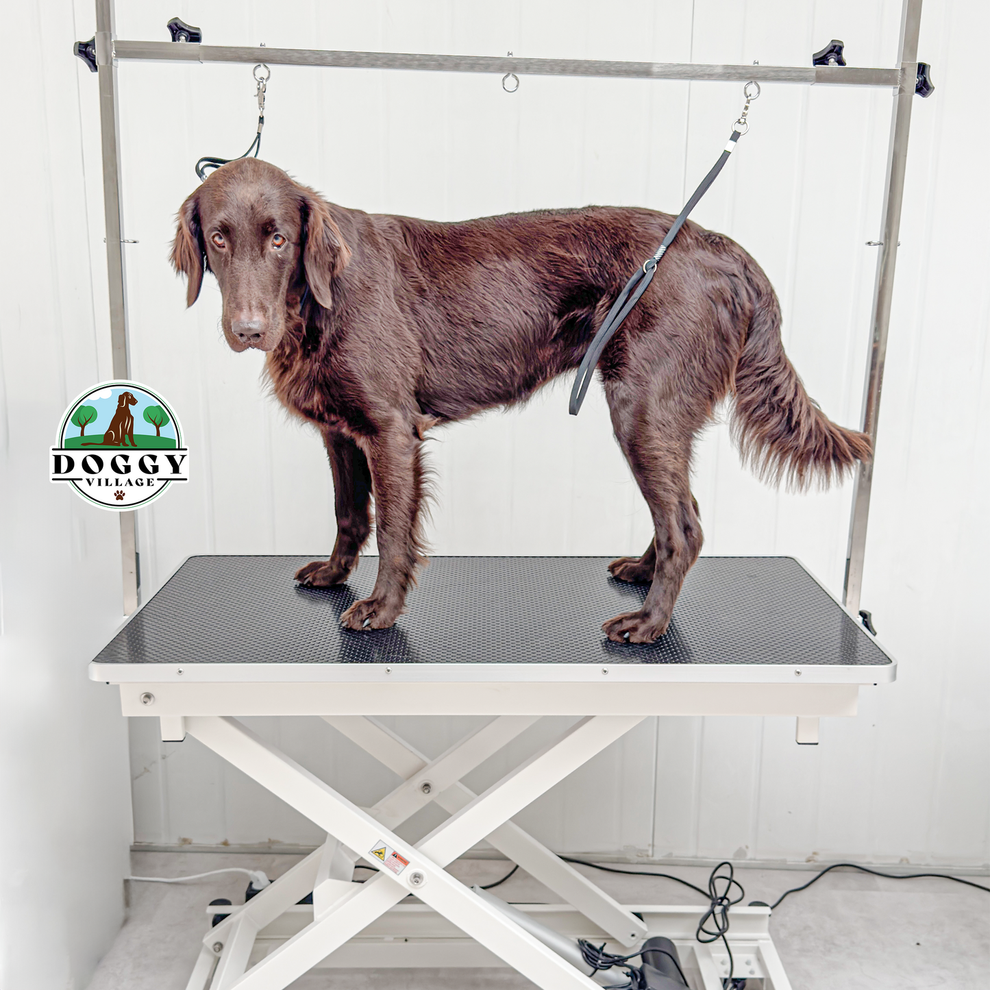 Stół do strzyżenia dla psów PET GROOMING PLATFORM