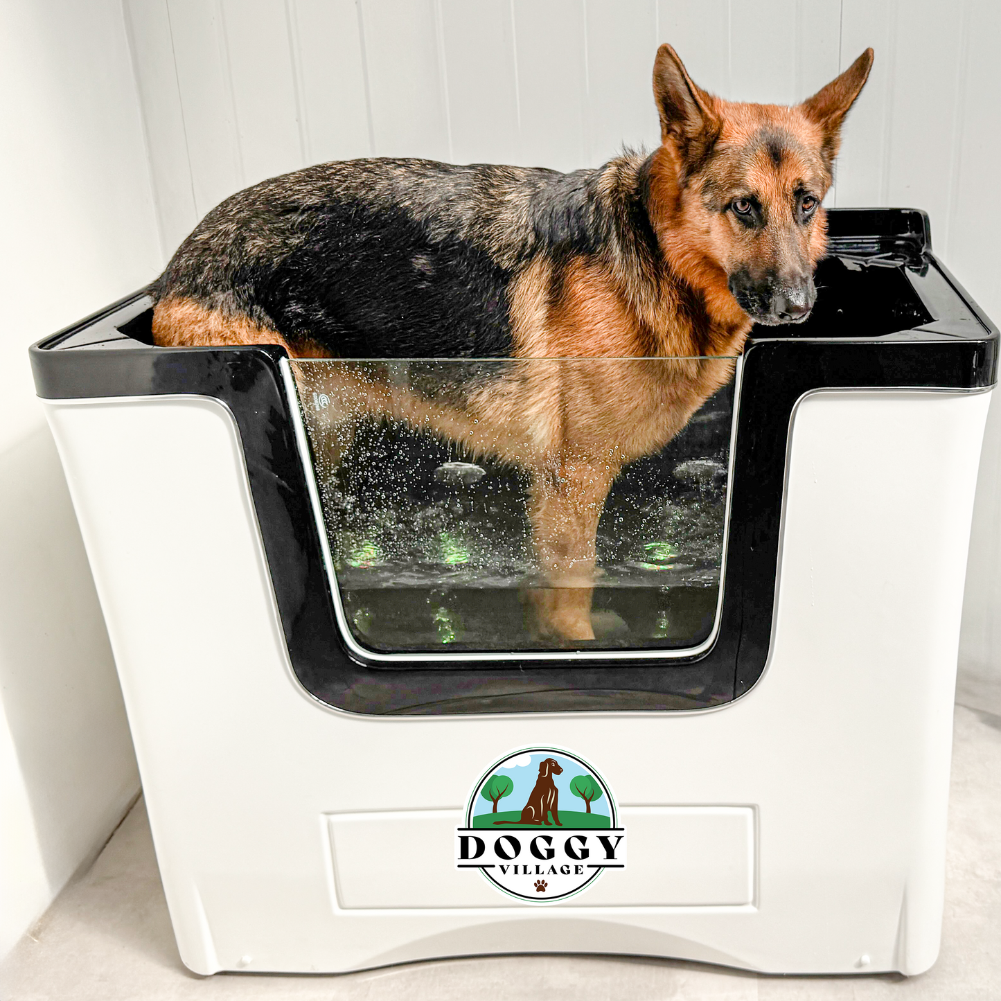 Wanna z hydromasażem dla psów PET SPA HYDROMASSAGE BATHTUBE
