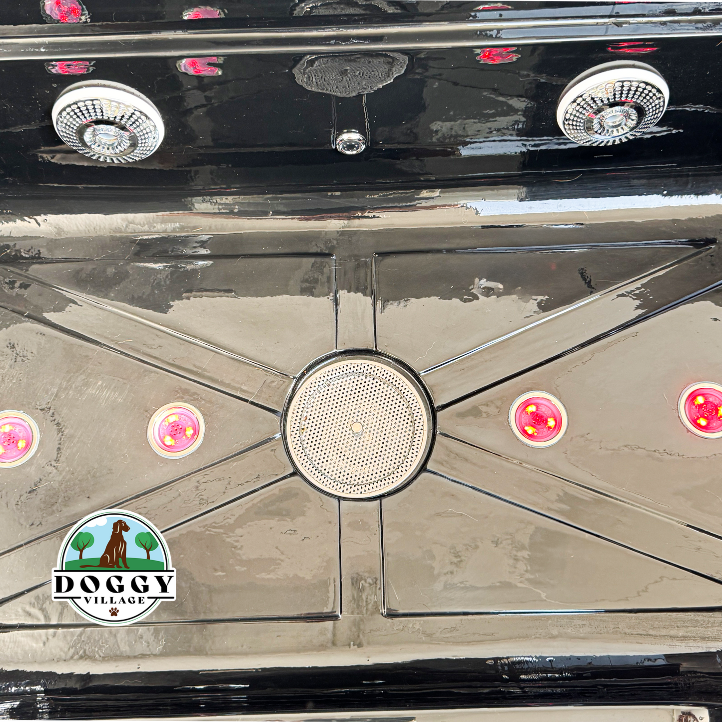 Wanna z hydromasażem dla psów PET SPA HYDROMASSAGE BATHTUBE