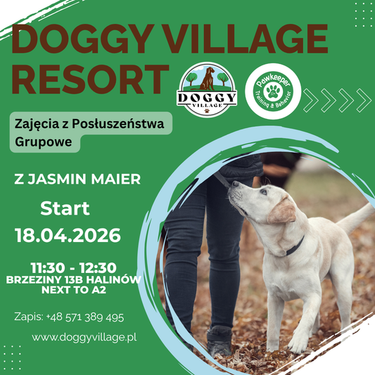 Group Obedience Classes