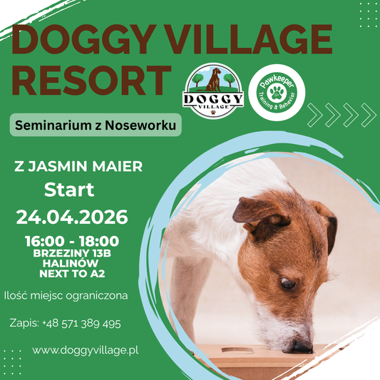Nosework Seminar