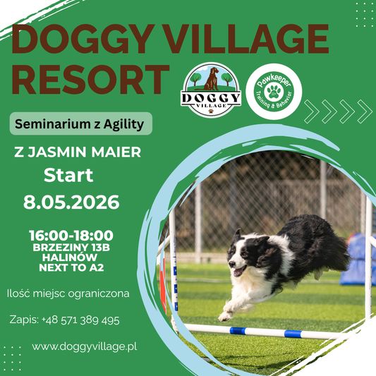 Agility Seminar