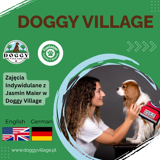 Individual classes - with Jasmin Maier | Doggy Village