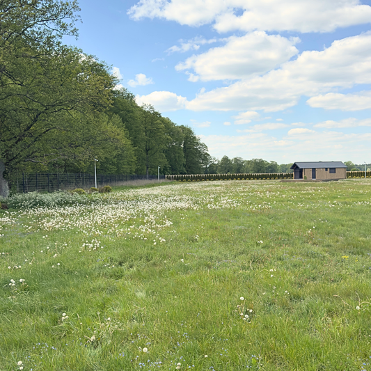 Apartament Emira – Doggy Village, Mazury (Imionek)