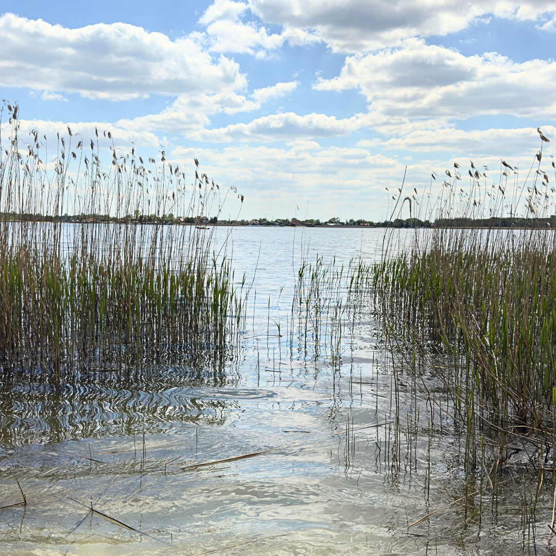 Apartament Emira – Doggy Village, Mazury (Imionek)