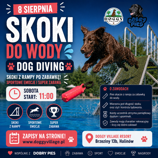 Zawody Dog Diving / Skoki do Wody dla Psów 8 Sierpnia