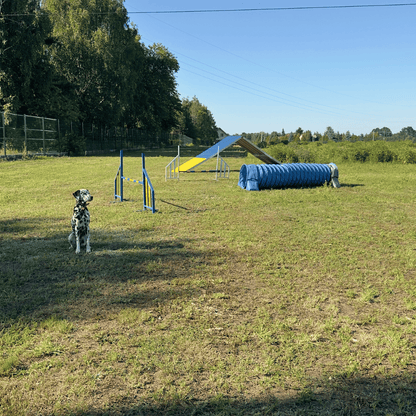 Tor Agility