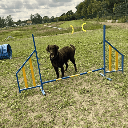Tor Agility