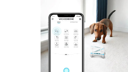 لعبة تفاعلية للكلاب SMART BONE MT7109