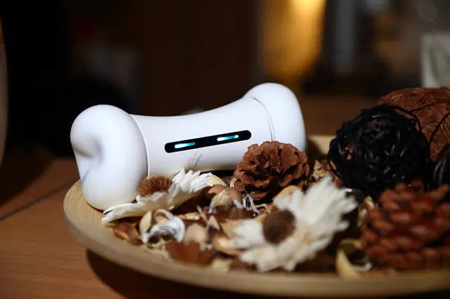 لعبة تفاعلية للكلاب SMART BONE MT7109
