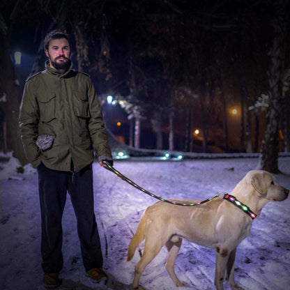 LED Light Up Dog Leash - SIGNAL LEASH