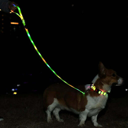 LED Light Up Dog Leash - SIGNAL LEASH