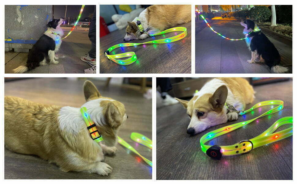 LED Light Up Dog Collar - SIGNAL COLLAR