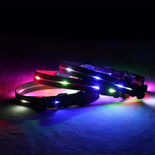 Świecąca obroża LED dla psa - SIGNAL COLLAR