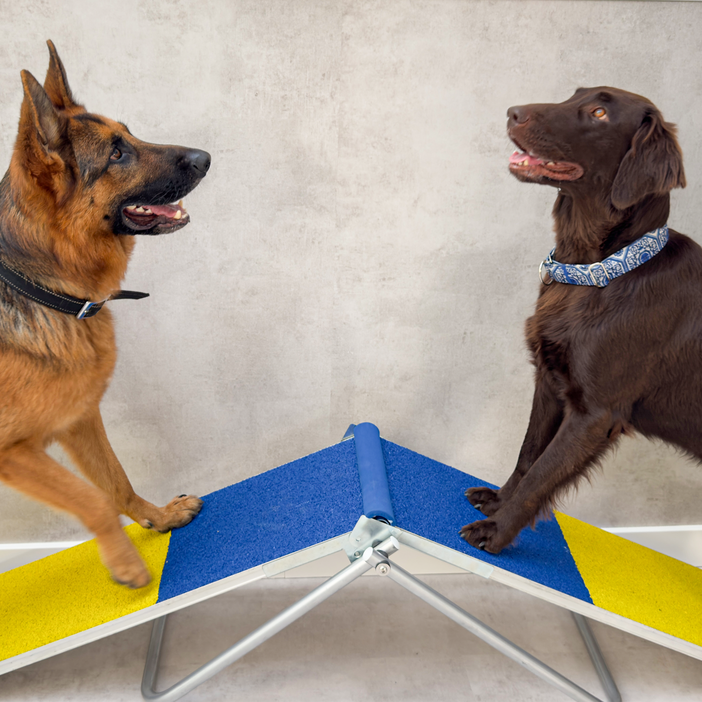 Pochylnia dla psa A-FRAME DOG TEETER
