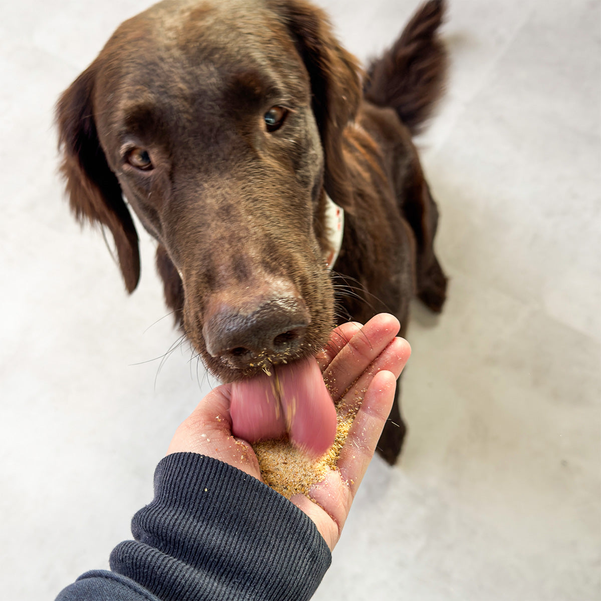 Vitbit Booster Dv 7524