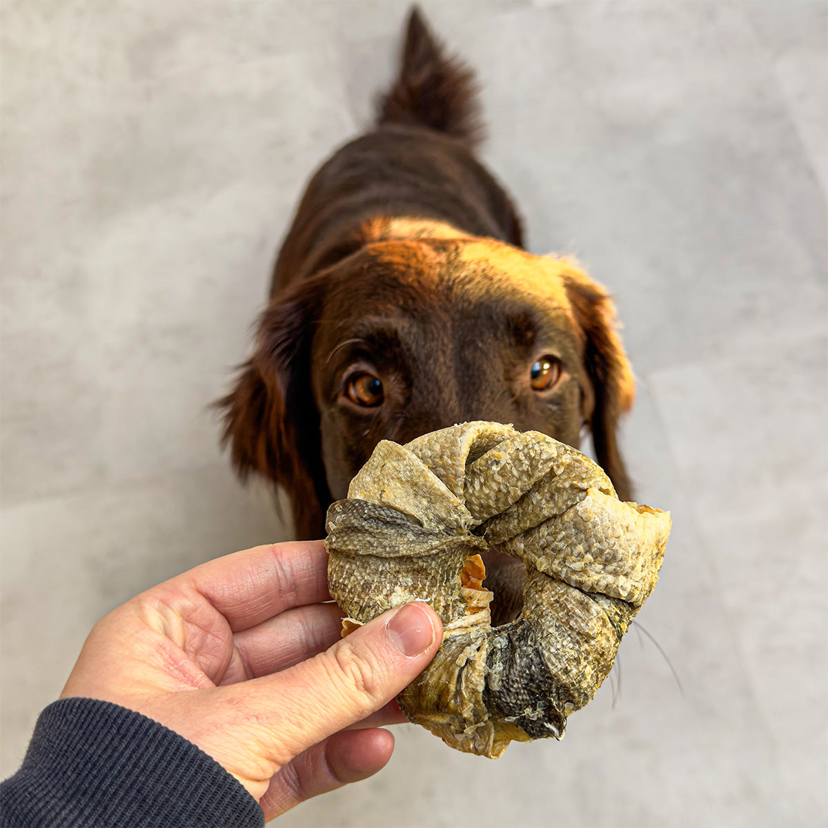 Vitbit Dounuts 3 sztuki DV 7531