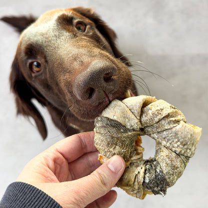 Vitbit Dounuts 3 sztuki DV 7531