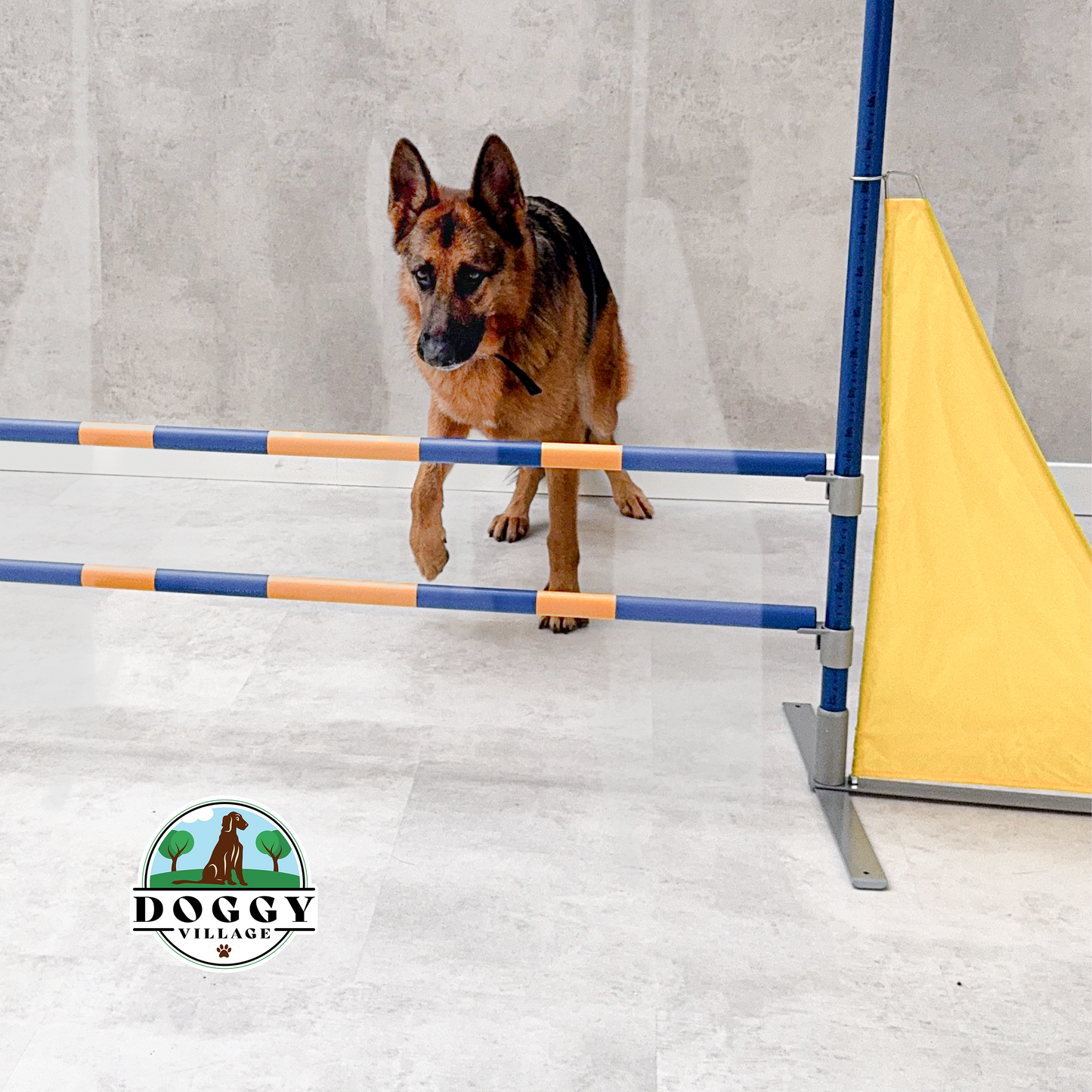 Pionowa przeszkoda do skoków dla psów lekka  DOG HURDLE LITE