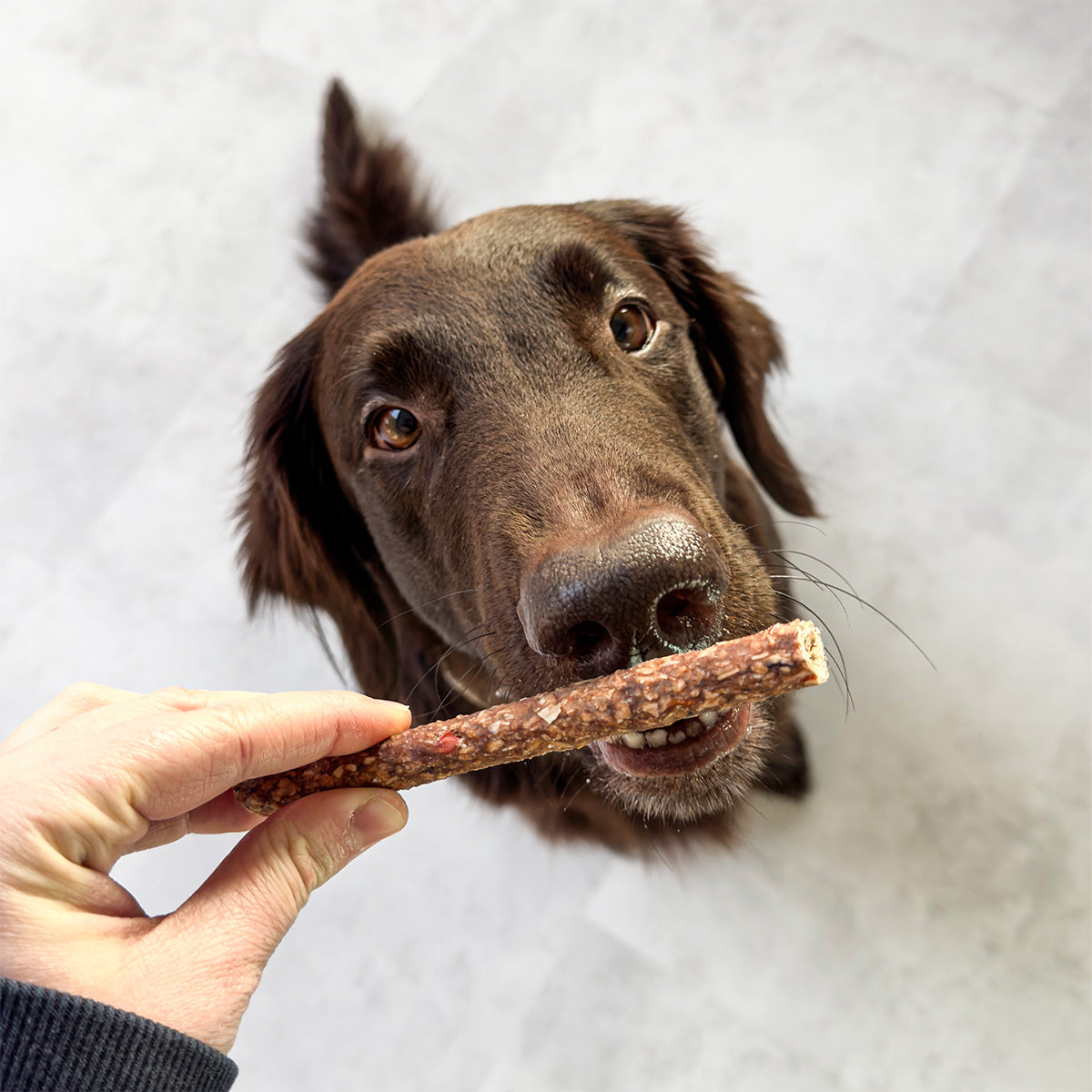 Vitbit Cod Sticks with carrot 100g dv 7527