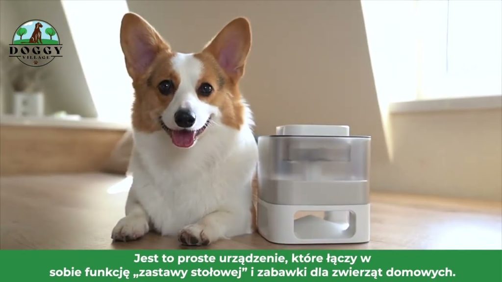 Załaduj film: 
