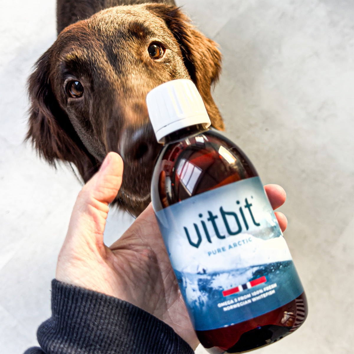 Vitbit Pure Arctic 300 ml Dv 7525