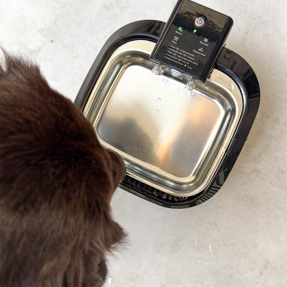 Fontanna dla Psa lub kota rozmiar M