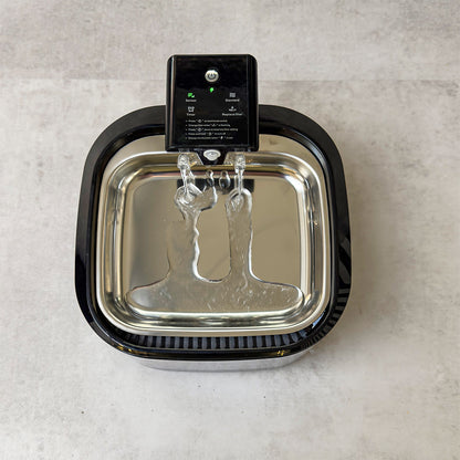 Fontanna dla Psa lub kota rozmiar M