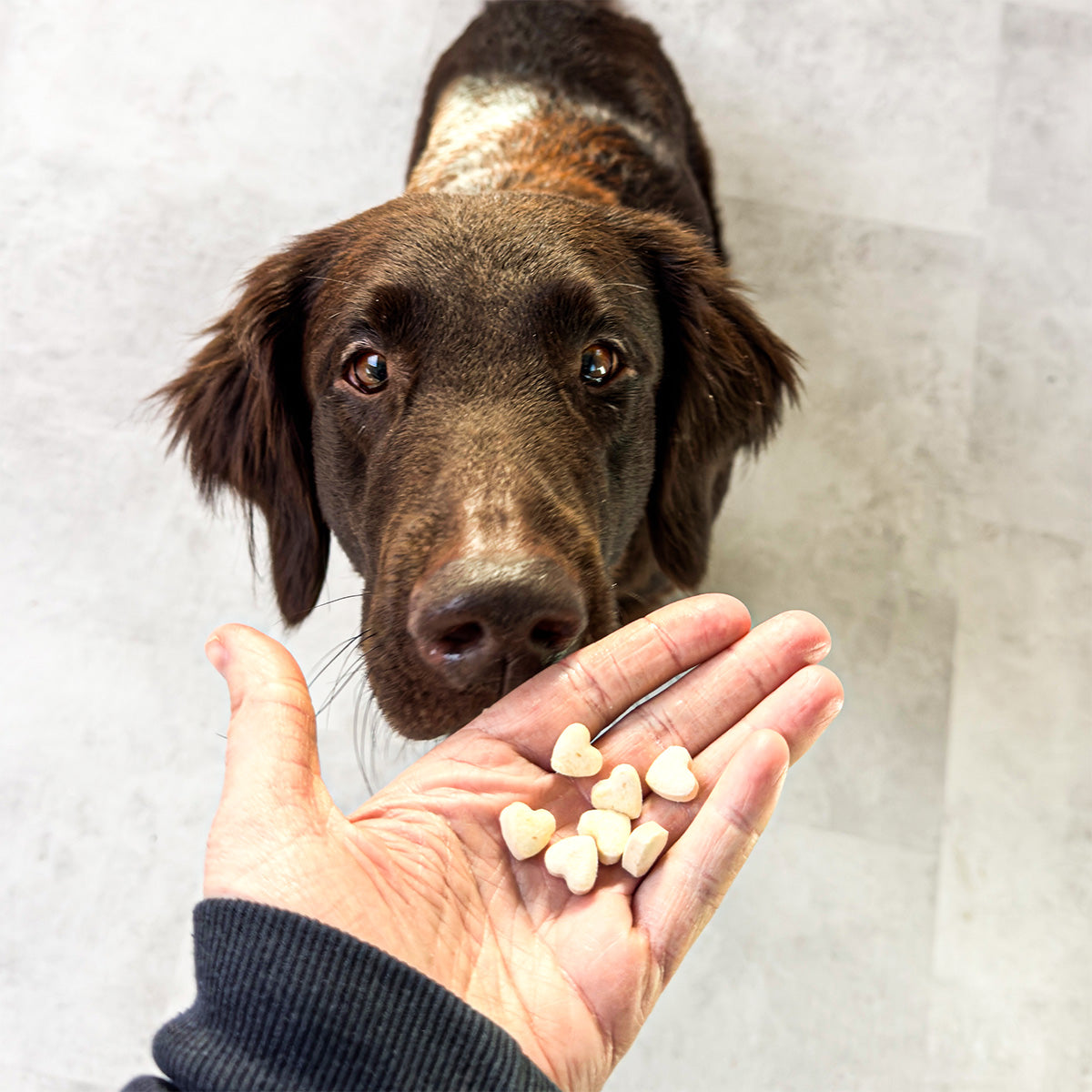 Vitbit Serca Dv 7523