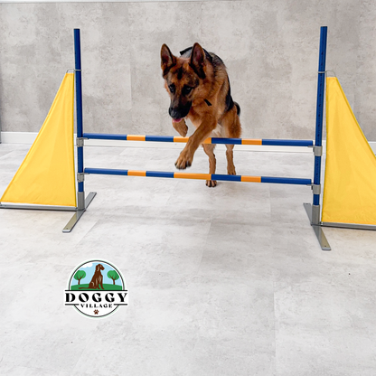Pionowa przeszkoda do skoków dla psów lekka  DOG HURDLE LITE