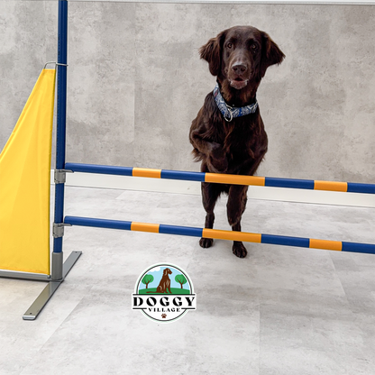 Pionowa przeszkoda do skoków dla psów lekka  DOG HURDLE LITE