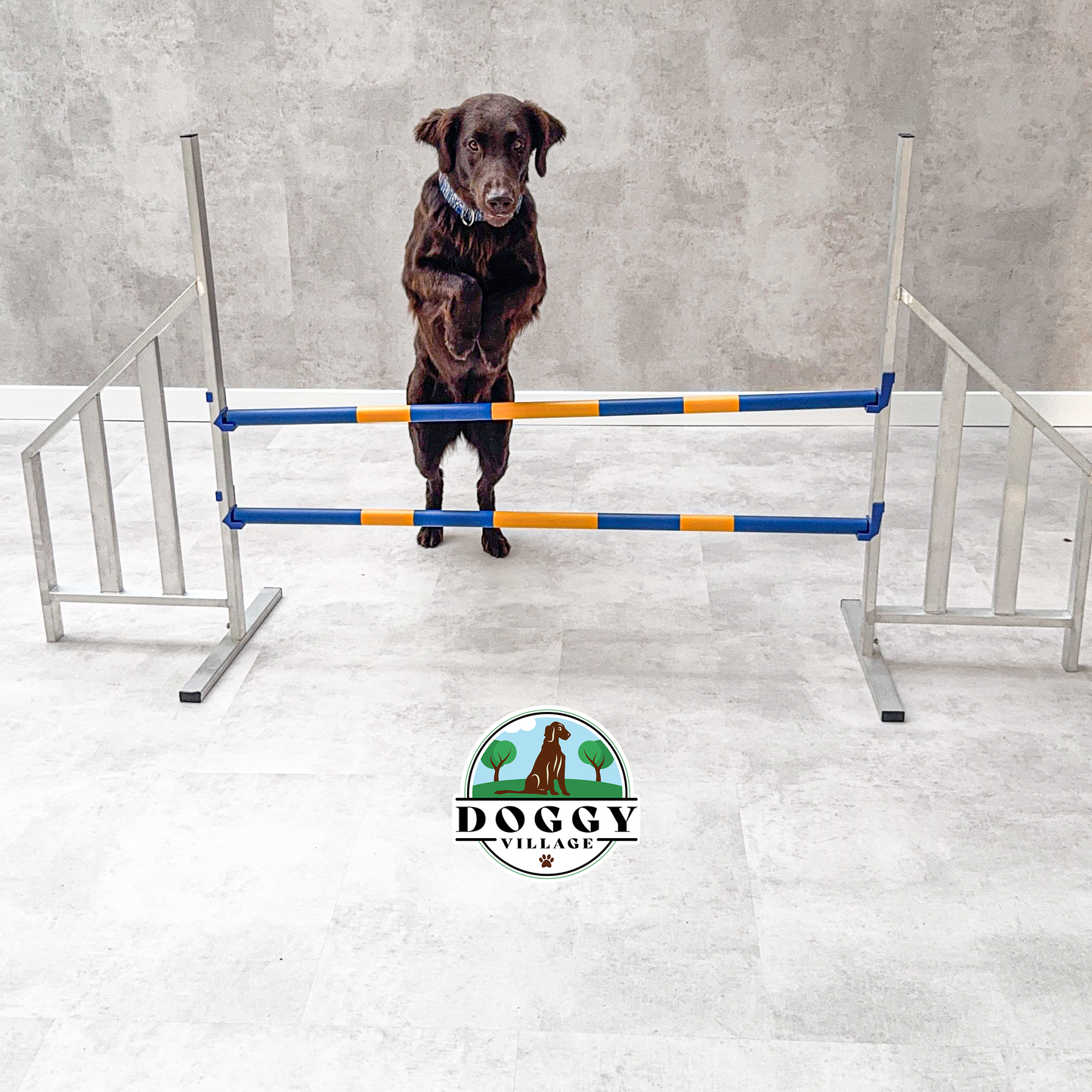 Aluminiowa przeszkoda do skoków dla psów  DOG HURDLE DELUX
