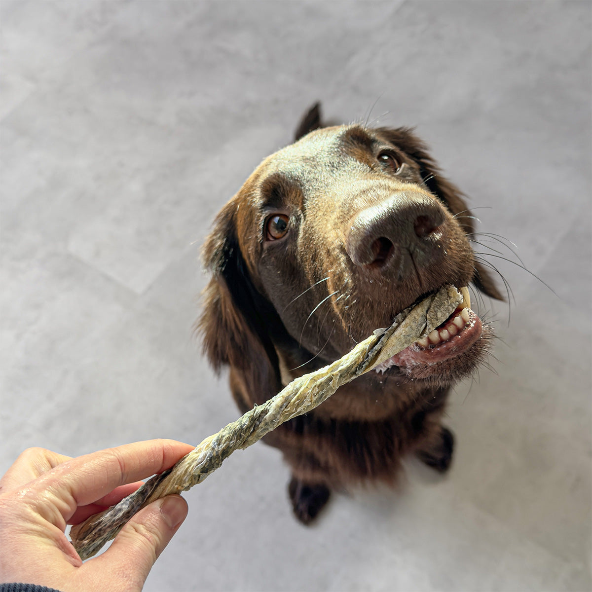 Vitbit Tornadogs Large Cod Skin Chew 100 g dv 7529