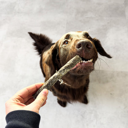 Vitbit Tornadogs Wrap with Cod Meat 100 g dv 7528