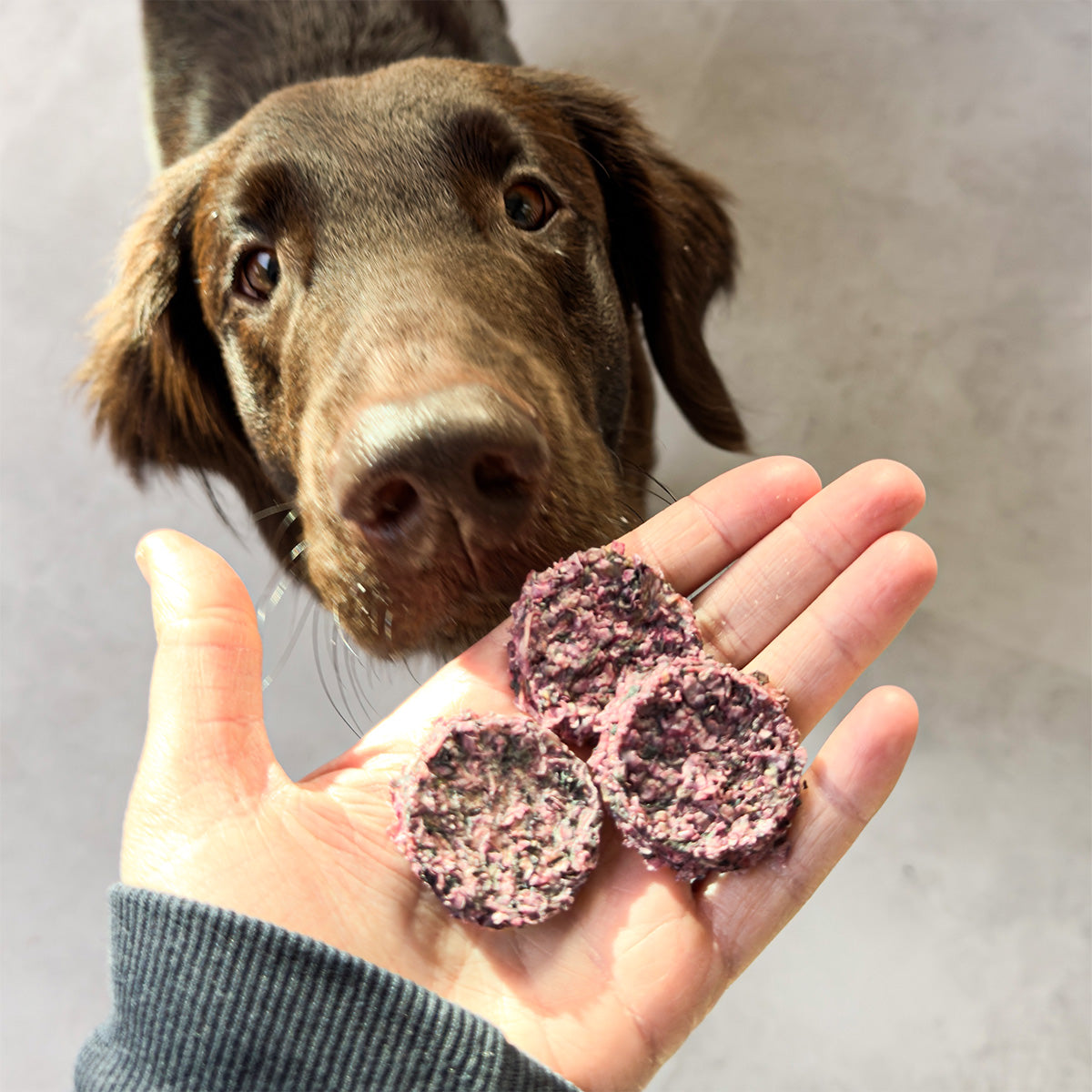 Vitbit Collagen Crackers with Strawberry 70g dv 7530